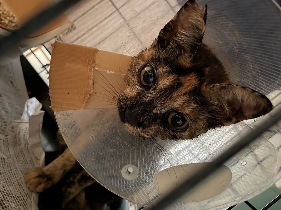 7/31病院診察日でした！