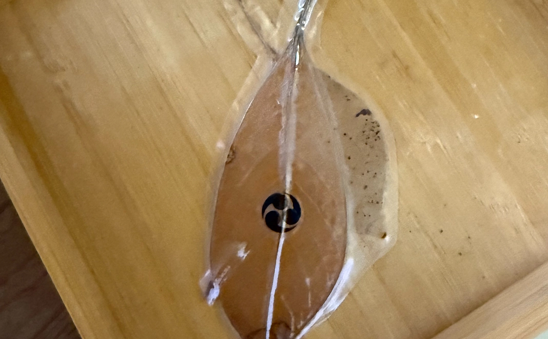 クスノキ応援コース【クスノキ落ち葉栞+境内でお名前掲載+上記】