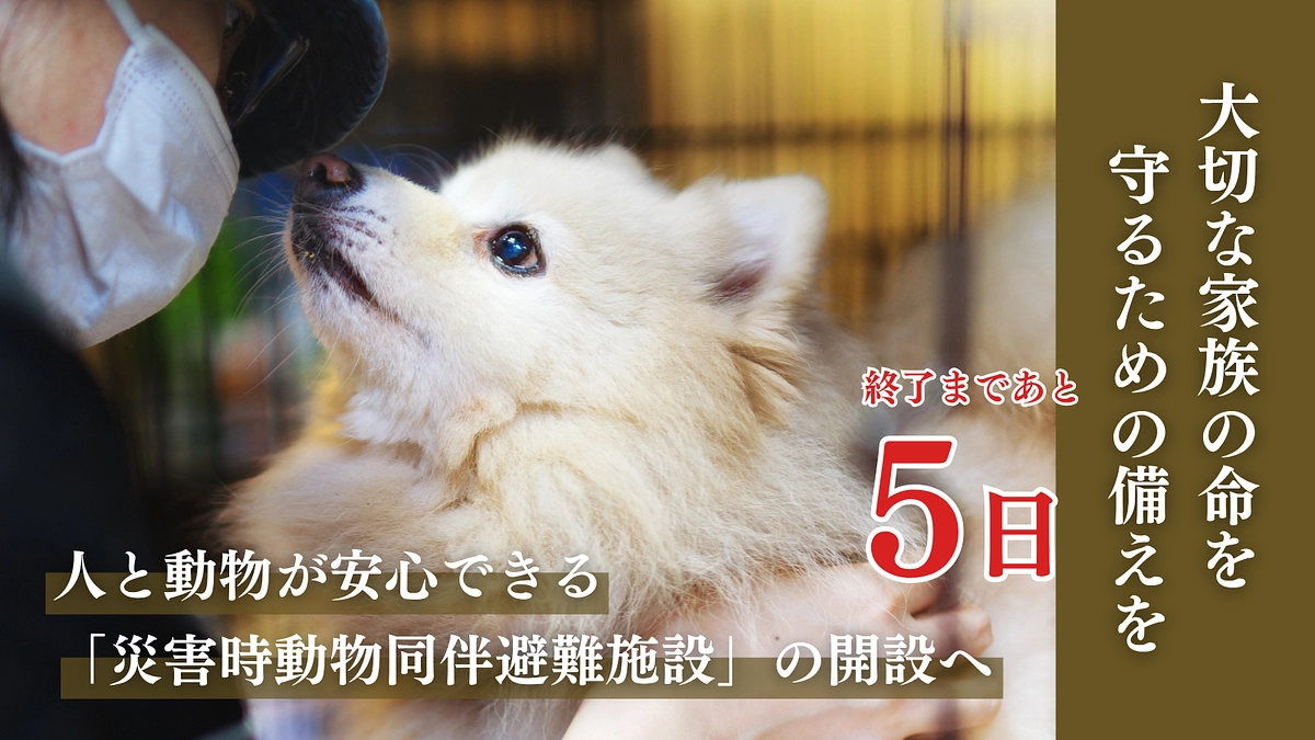 【カウントダウン｜残り5日】ご支援時にいただく応援コメントにも力をもらっています！