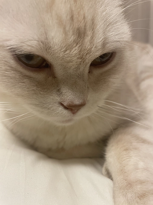 残り7日となりました‼️