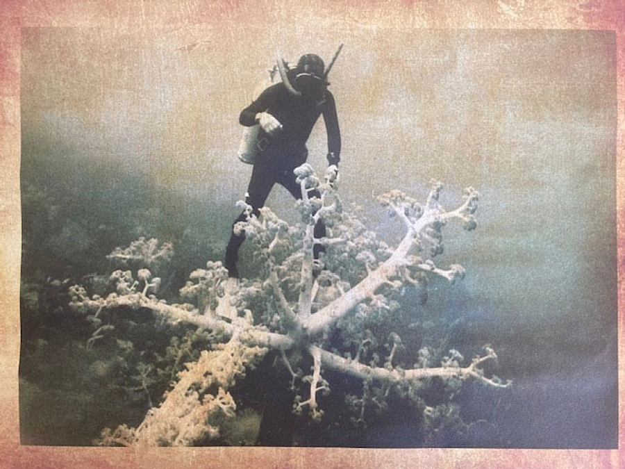 一部リターン品変更につきましてのお詫びとご連絡/事務局