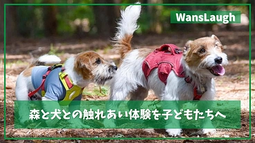 ワンコの森｜愛犬が教えてくれる命の尊さを未来の子どもたちに伝えたい
