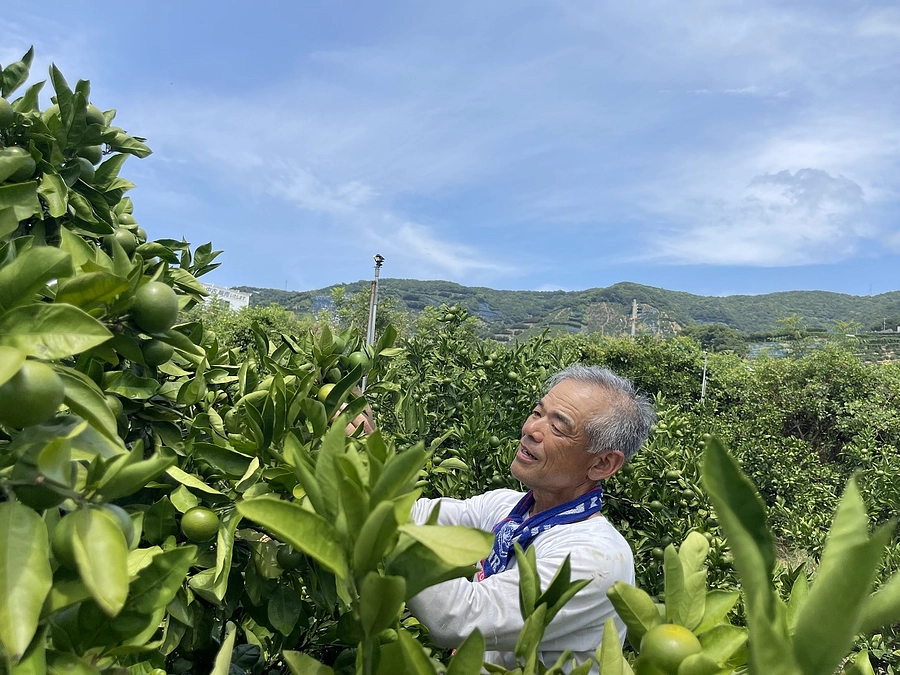 メールマガジン発刊しました