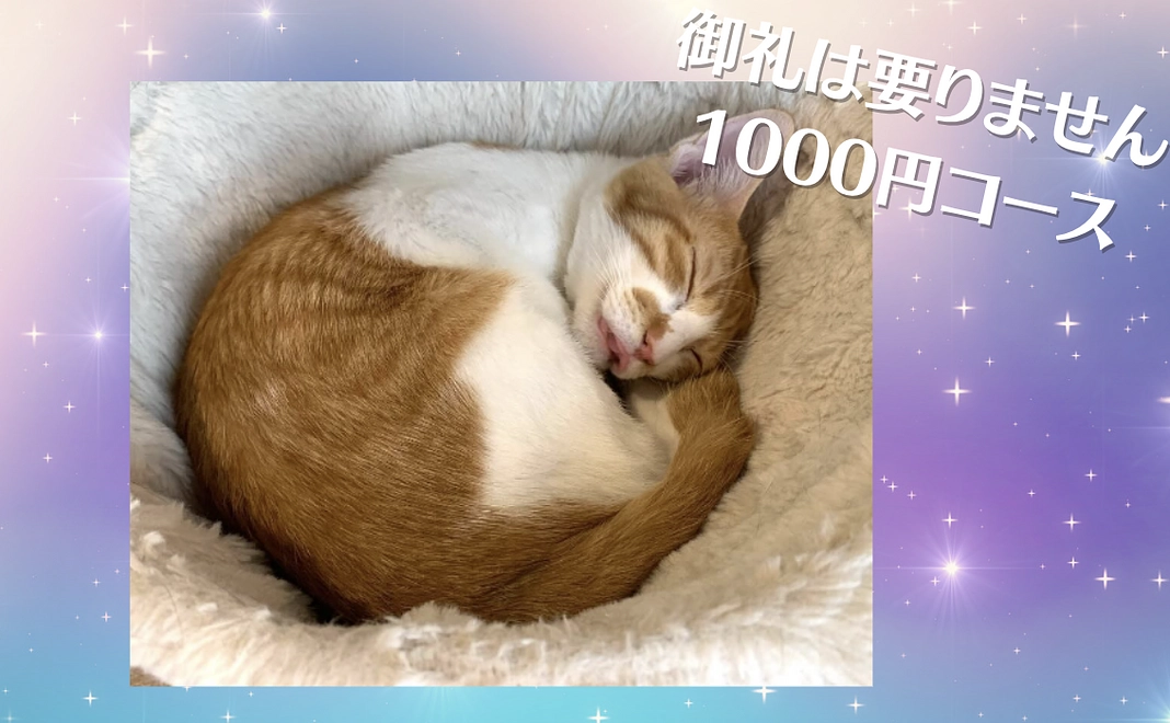 全力応援 1000円コース