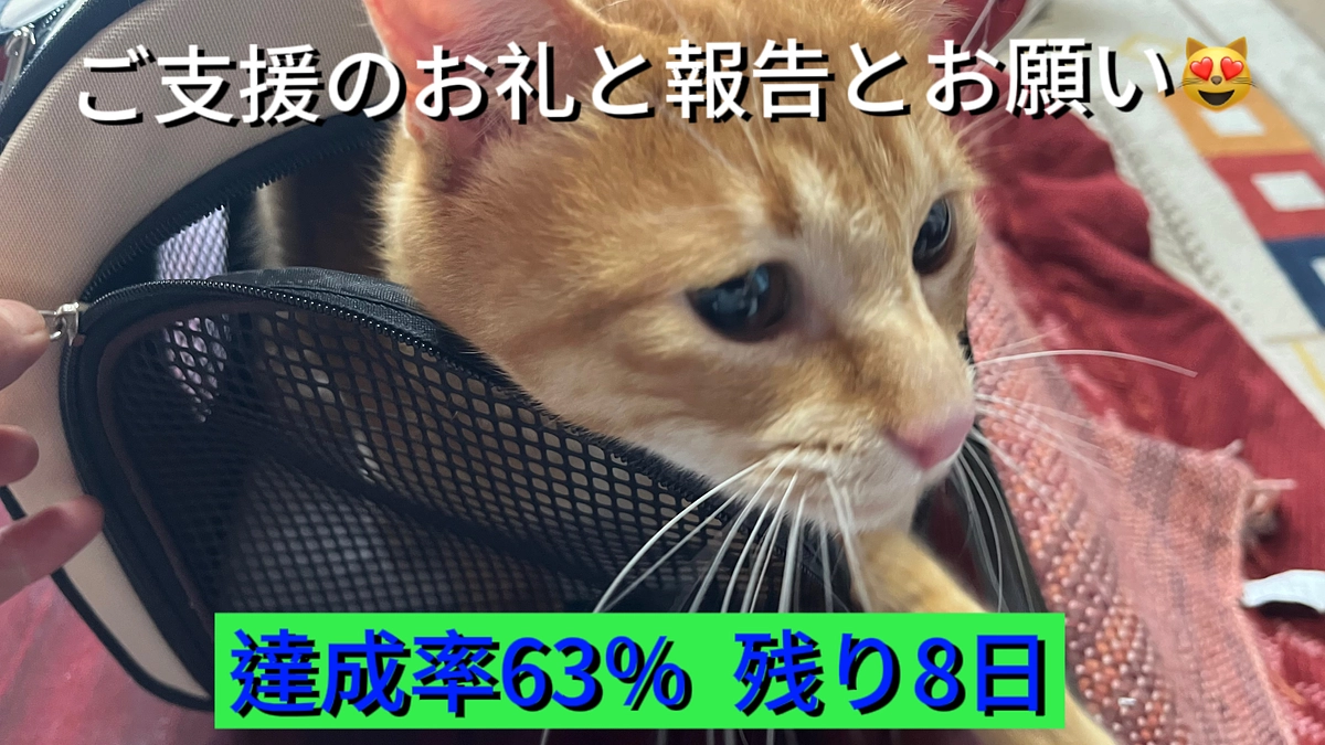 ご支援のお礼と報告とお願い（3.20）