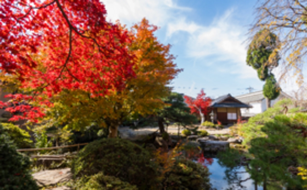 A|田中本家博物館 ご招待券