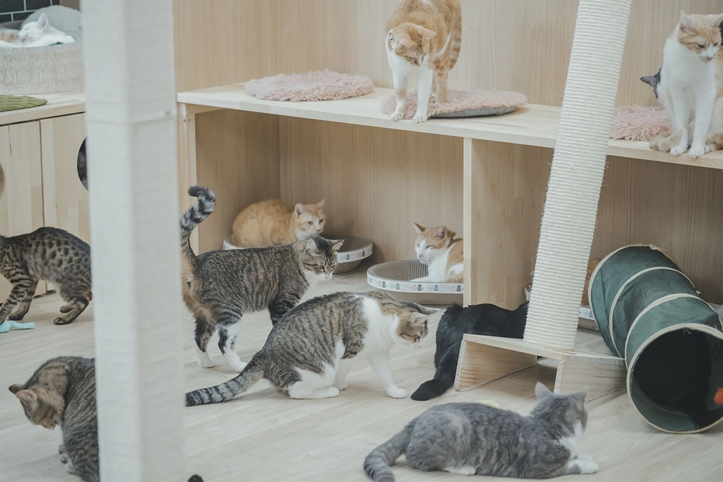 私が諦めてしまうとその子の命の炎は消えてしまうんです。