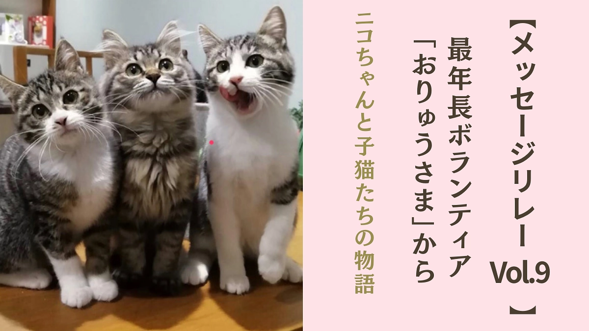 【メッセージリレーVol.9】オープン当初からお手伝いをして下さっているボランティアO様から