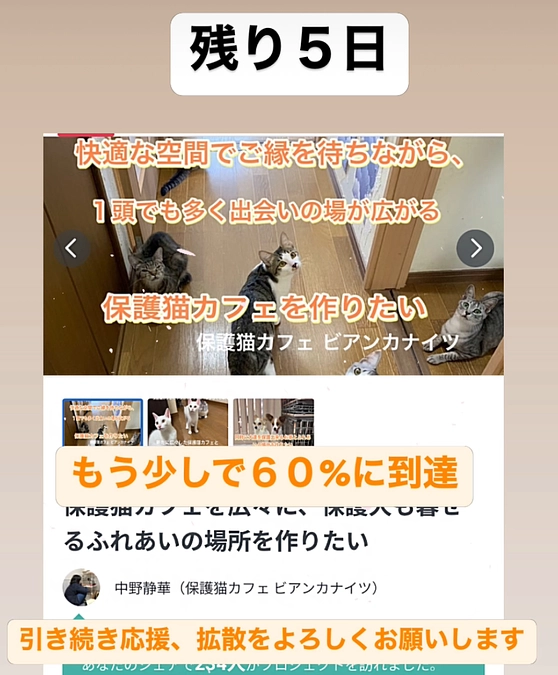 残り５日、ラストスパート期間、