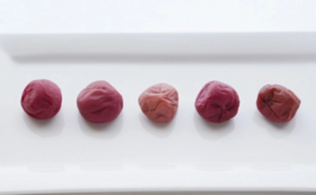 【福井県外の方限定】おすすめ！梅干し食べ比べセット