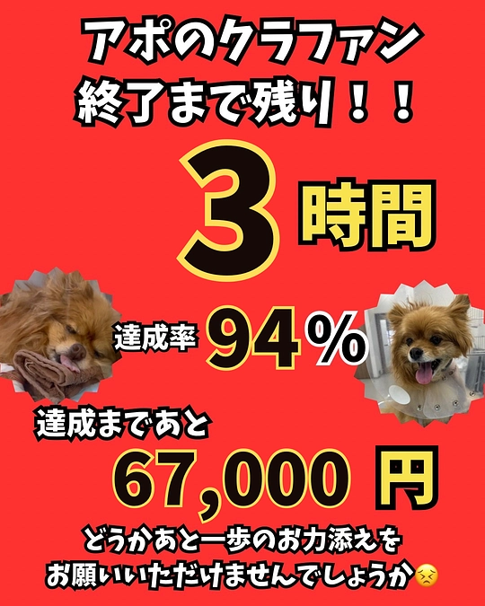 🆘🆘🆘残り3時間😭🆘🆘🆘