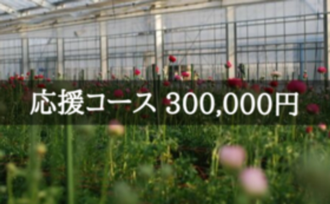 花き園芸農家の再建を応援！｜300,000円コース