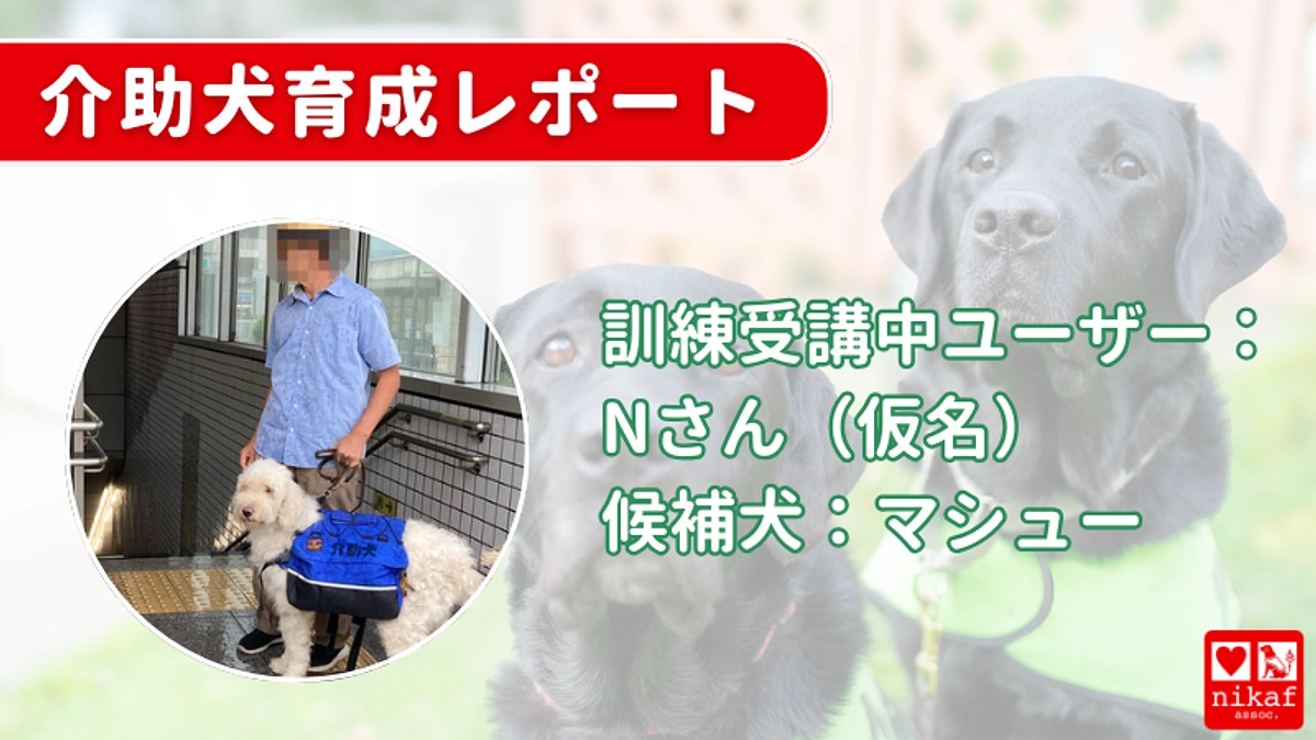 介助犬育成レポート　第１組目のNさんからのメッセージです！