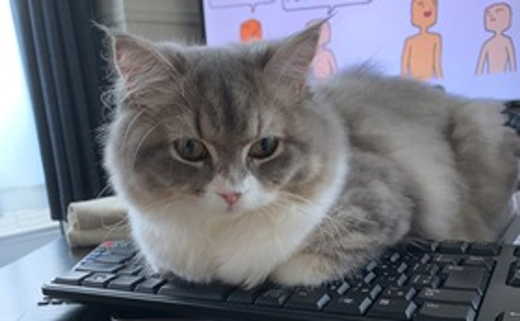 このめ応援3000(リターン不要)