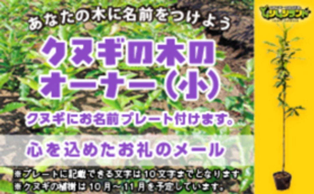 【ムシムシランドたいけん】クヌギの木のオーナー（小）あなたの木に名前をつけよう