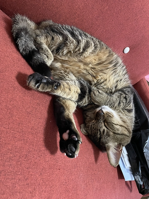 退院して1年経ちました。