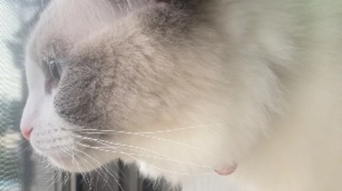 あと4日となりました🆘🆘