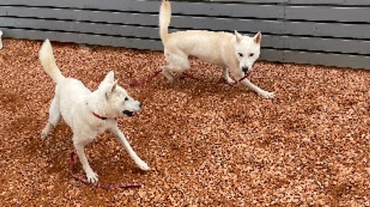 隔離スペースの活用