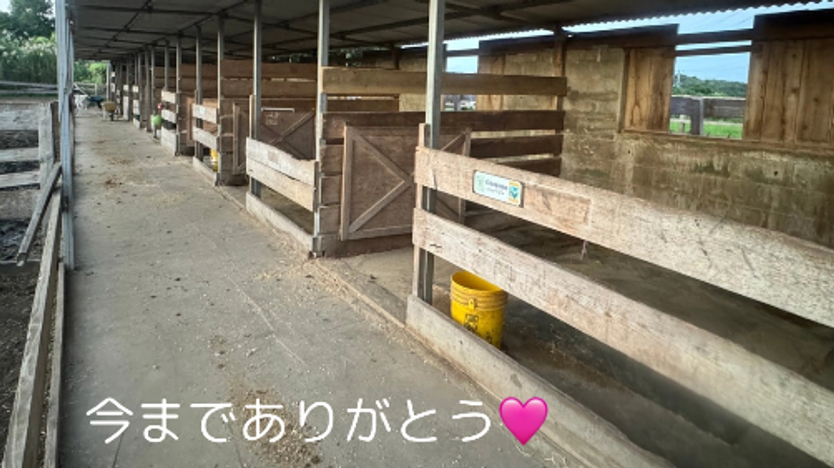 厩舎の取り壊しが完了しました