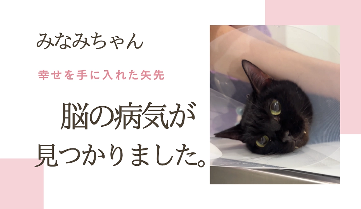 みなみちゃん脳の病気かも？と思い病院へ