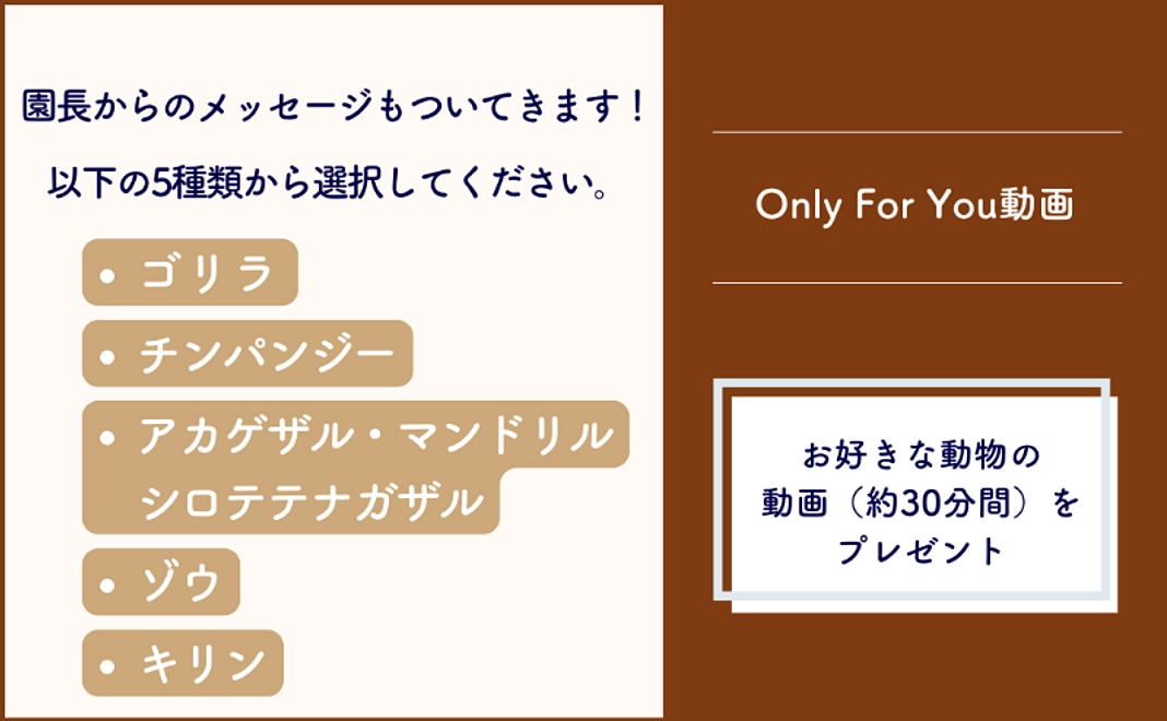 ＜京都市外在住の方および市内企業限定＞Only For You動画