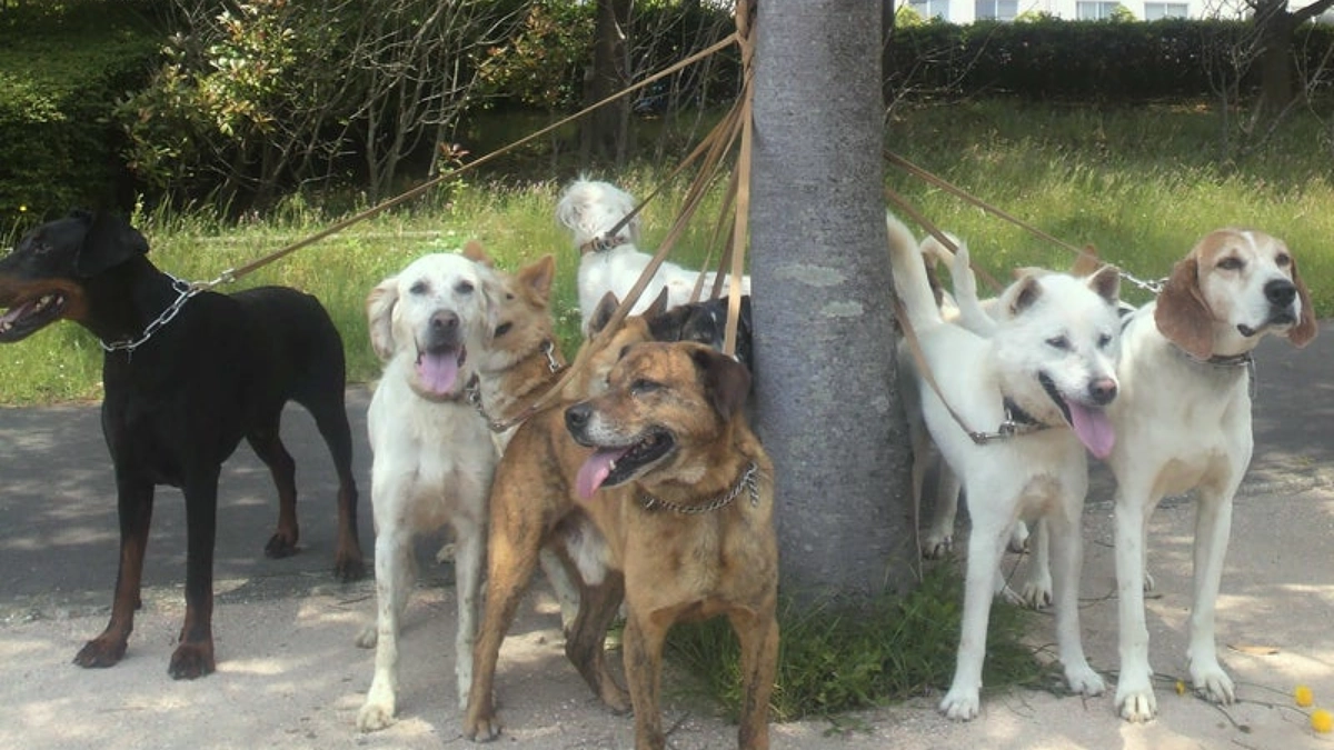 第二目標にかける想い