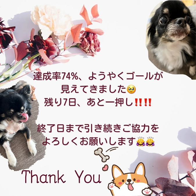 達成率74%、ゴールが見えてきました