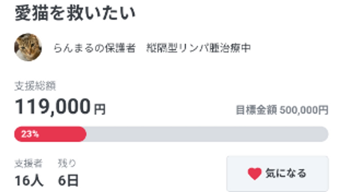 残り6日となりました…