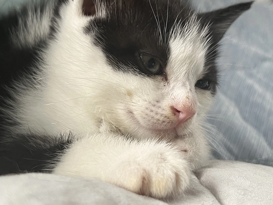 仲間との出会い⑤