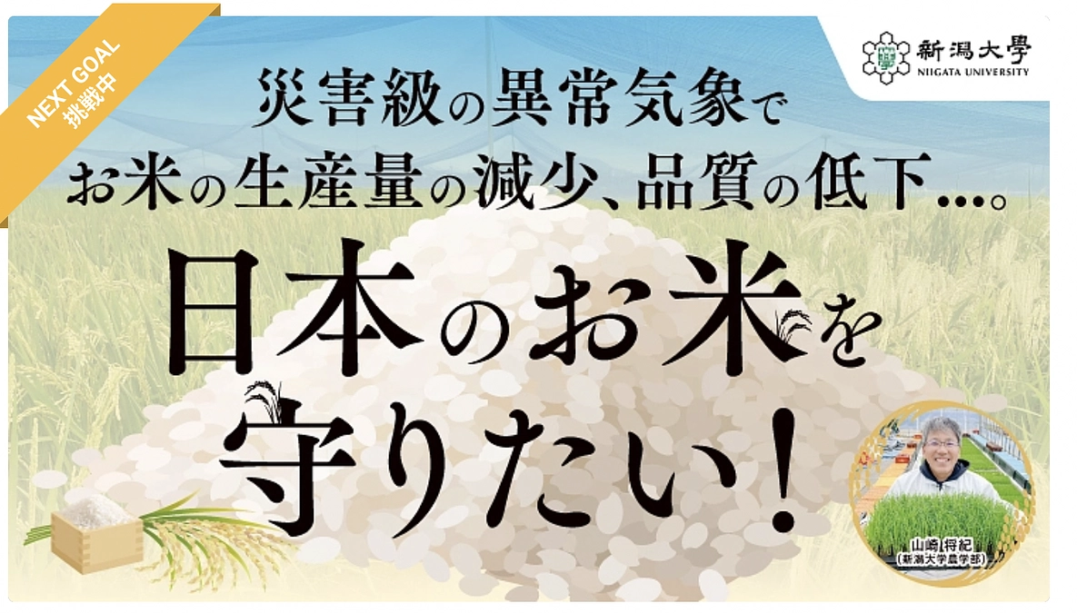 NEXT GOALへ挑戦します！