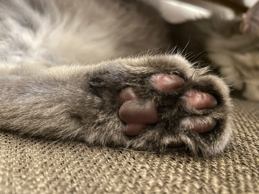 経過観察1日目　昨日ついに退院！