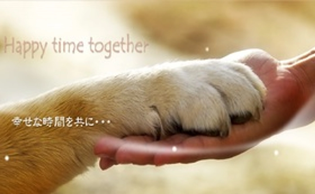 心を込めて＊ありがとうメール