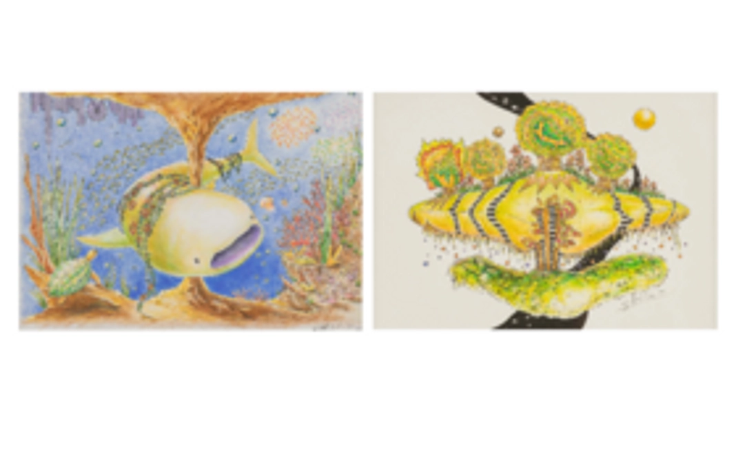 日本赤十字社東京都支部への寄付コース