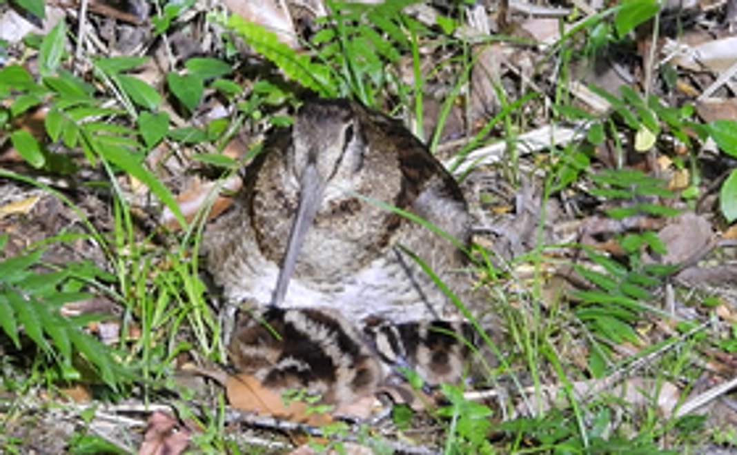 お気持ちコース|3,000円コース