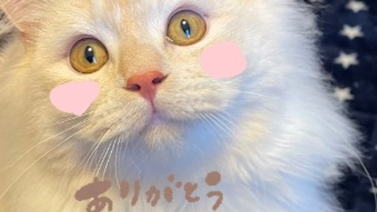 ご支援をいただきました！