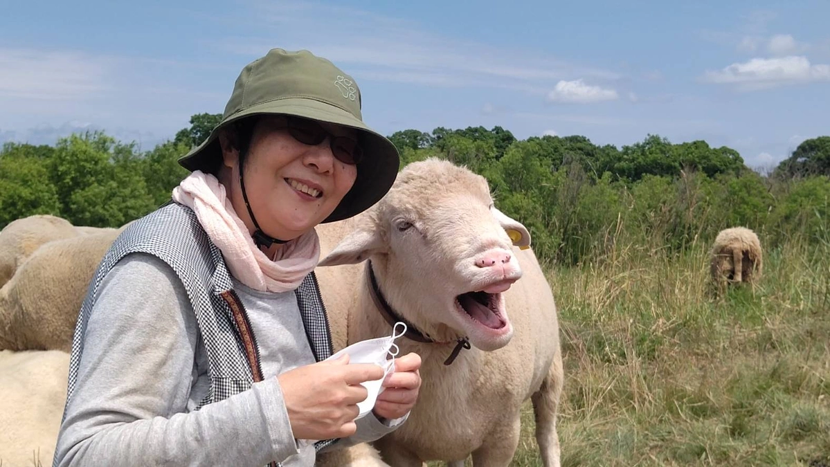 今日の石狩川の河川敷放牧地です。　７月２日