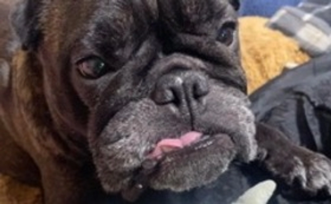 ありがとうございますメール