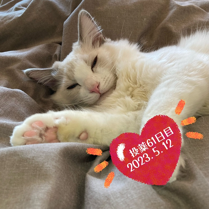 投薬６１日目(2023.5.12)