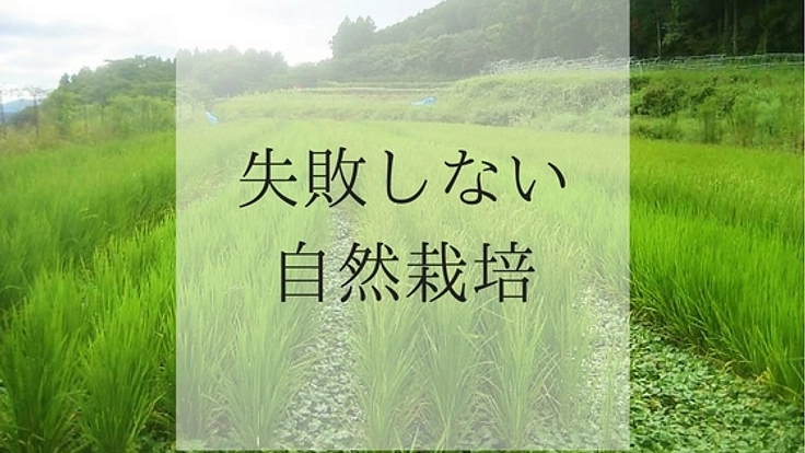 情報の少ない「自然栽培」を成功させるためのノウハウを伝える！