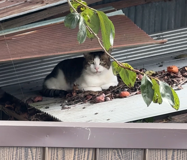 きっちゃん戻ってきました！！！