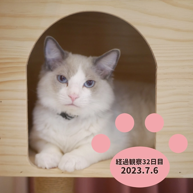 経過観察32日目(2023.7.6)