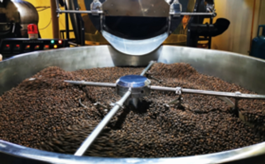 【超早割】コピルアク「Game Changer」約20杯分 100g