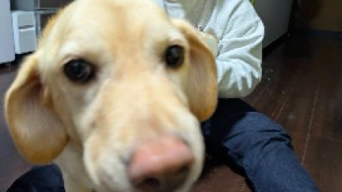 強力な助人登場