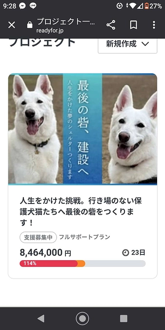 代理支援につきましては…