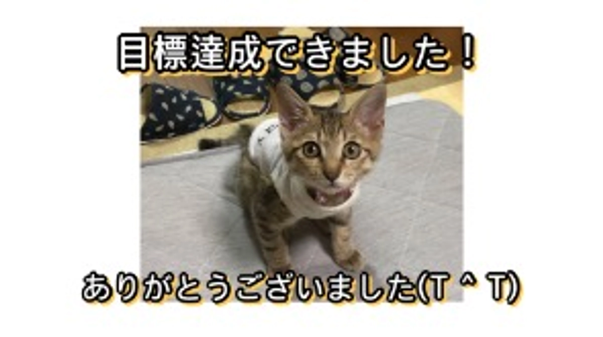 目標達成しました！