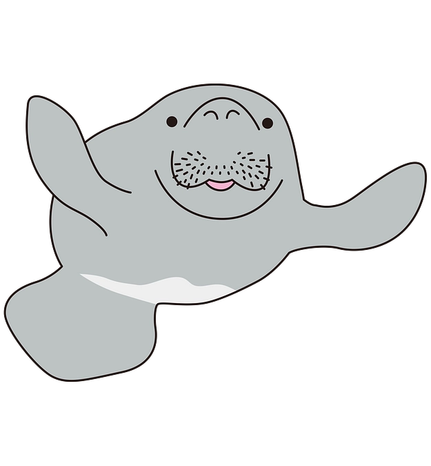 マナティー研究所ができるまで