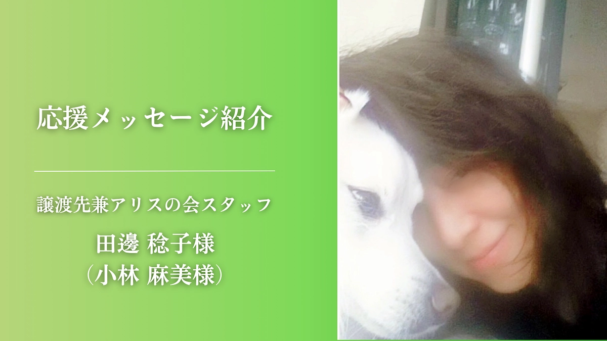500万円まであと3千円！【応援メッセージ】譲渡先兼アリスの会スタッフ 田邊 稔子様（小林 麻美様）