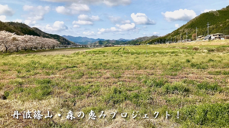みんなで森の恵みを楽しもう！丹波篠山の新しい里山づくりプロジェクト