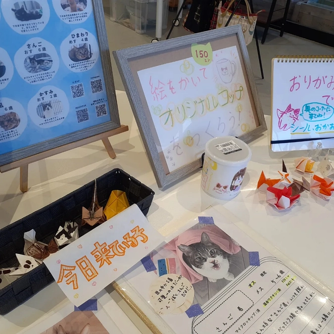 11日の☆星空ねこお見合い会☆のご報告