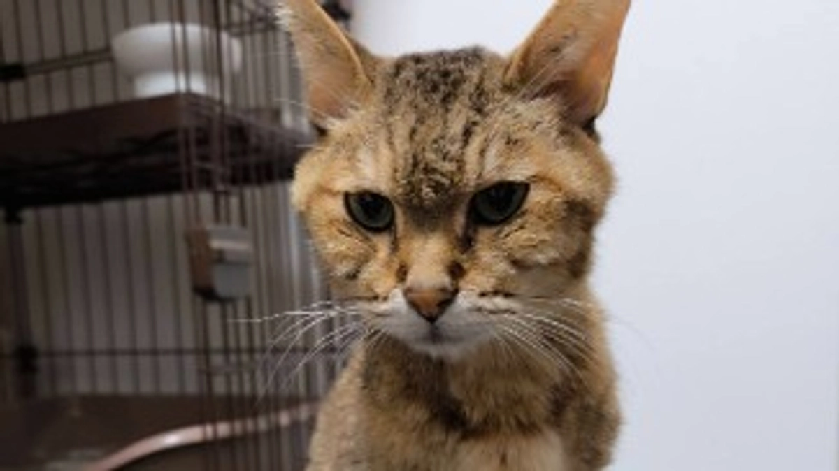 インスタ報告＆生望ちゃんの様子